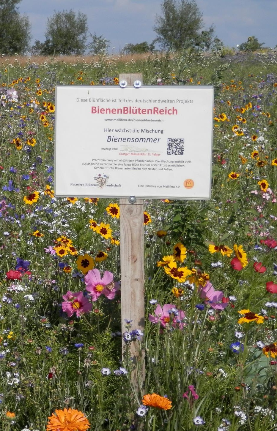 Ein Schild mit der Aufschrift "BienenBlütenReich" steht inmitten eines einige hundert Quadratmeter großen Blühfeldes. Drumherum befinden sich weitere Blühflächen - überall wetteifern Blütenformen und die unterschiedlichsten Farben um den Blick des Betrachters.